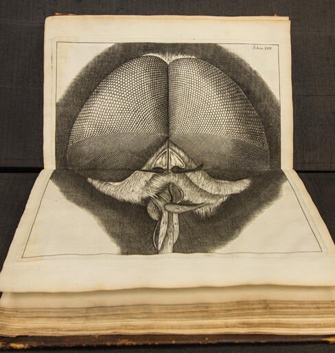Robert Hooke Micrographia; or, Some Physiological Descriptions of Minute Bodies Made by Magnifying Glasses 1665. This is the first book published in English on the microscope, and introduces the scientific definition of the word “cell.”
