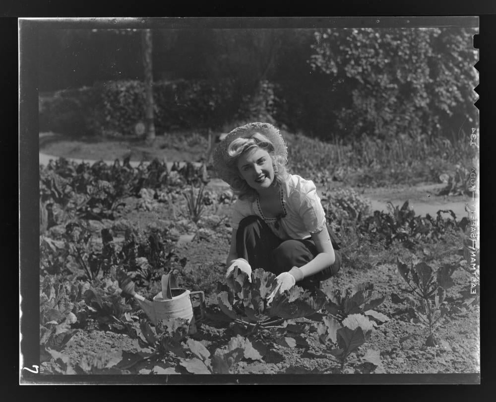 Victory gardens in Southern California, 1942-43